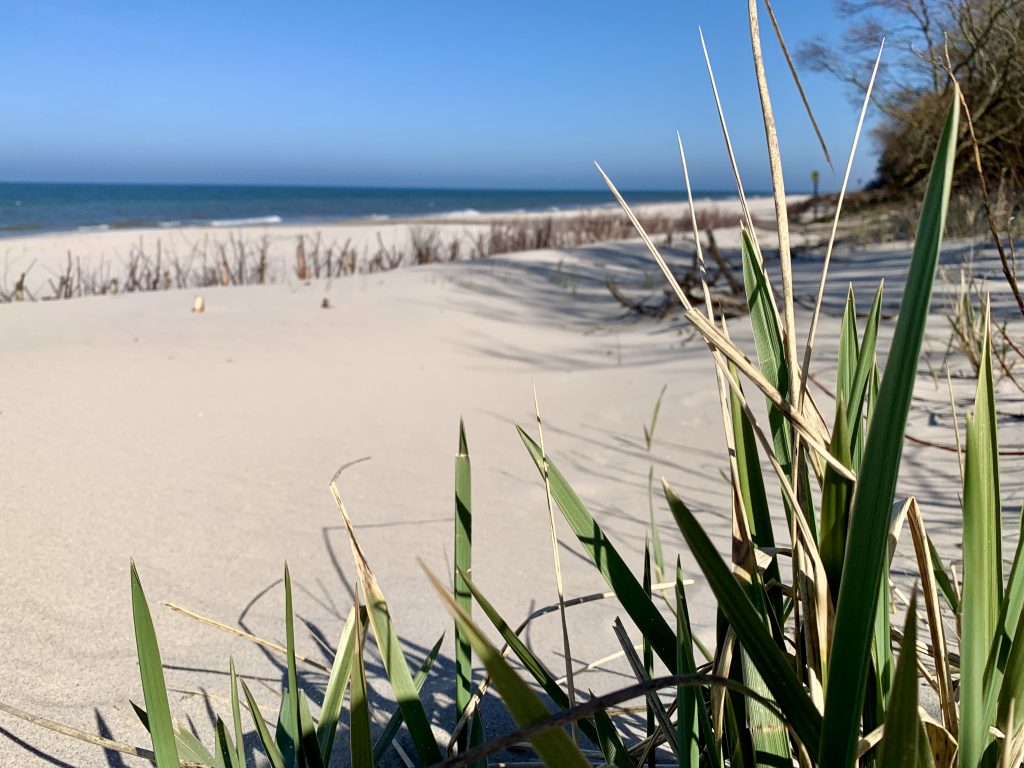 Read more about the article 10 ciekawostek o Bałtyku