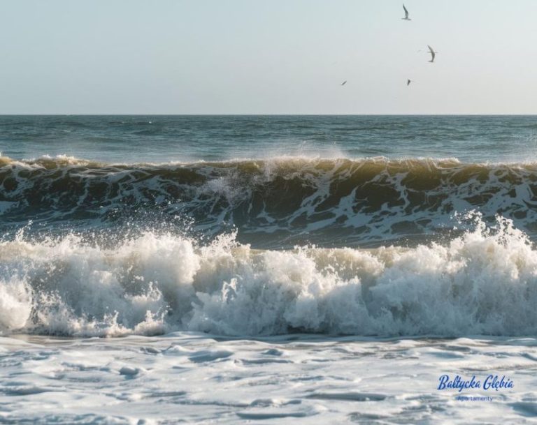 Read more about the article Wypoczynek nad polskim morzem – dlaczego wciąż do niego wracamy