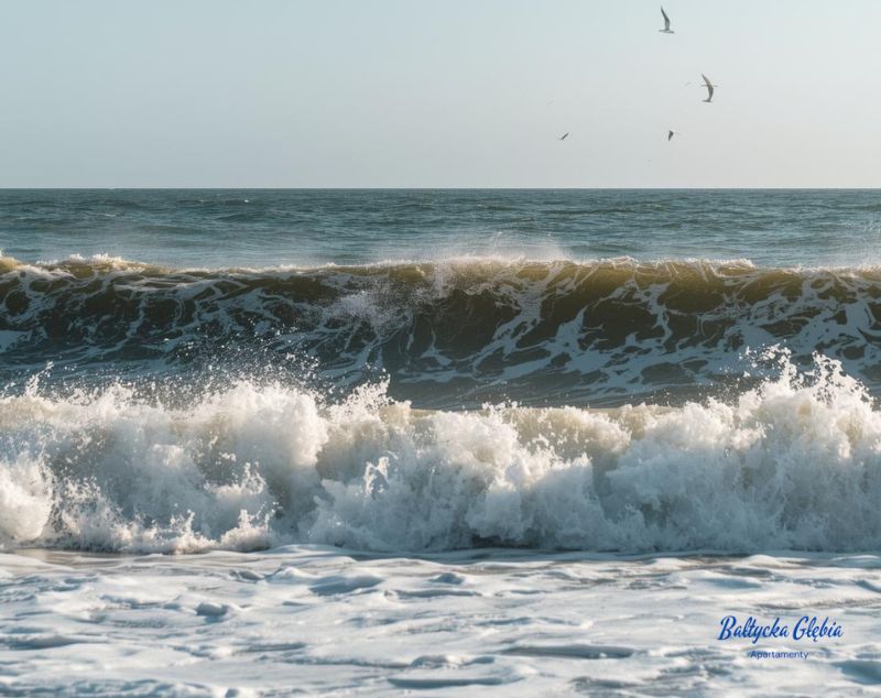 You are currently viewing Wypoczynek nad polskim morzem – dlaczego wciąż do niego wracamy