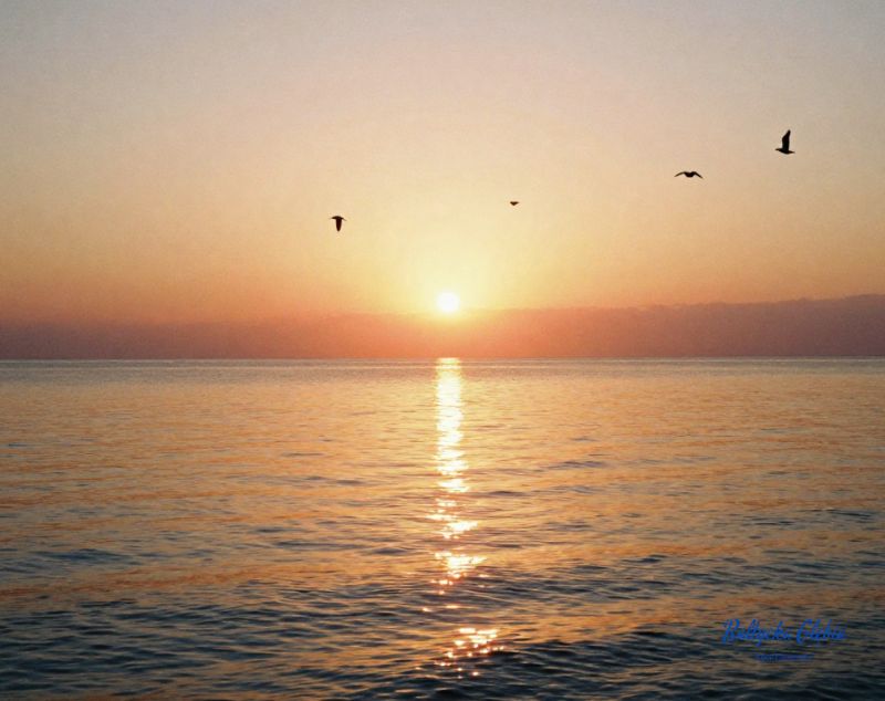 You are currently viewing Wypoczynek w Gąskach – nadbałtycka perełka